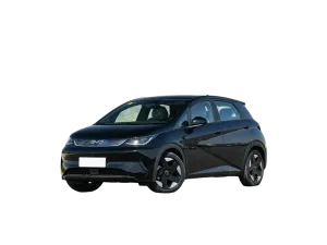 BYD Dolphin-1
