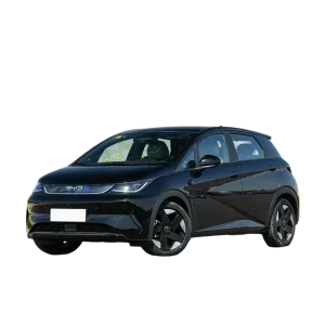 BYD Dolphin-1