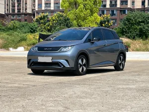 BYD Dolphin 2023-2024 1