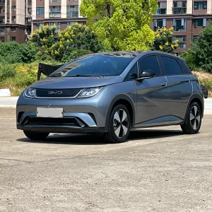 BYD Dolphin 2023-2024 1