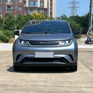 BYD Dolphin 2023-2024 2