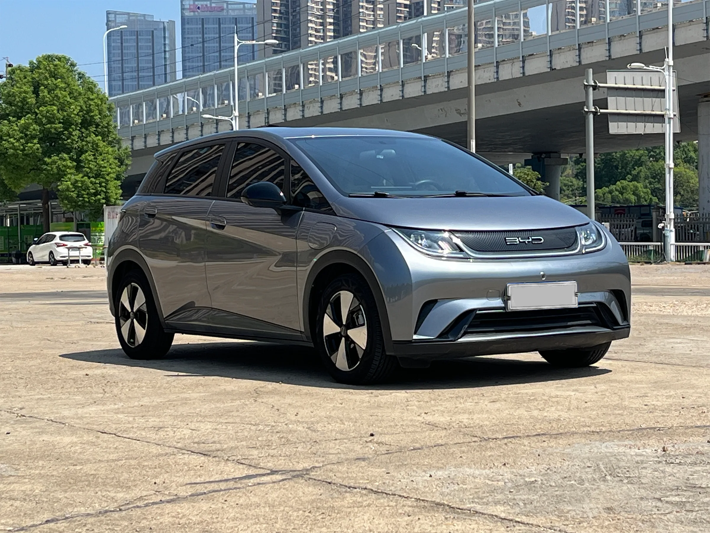 BYD Dolphin 2023-2024 3