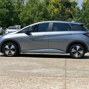BYD Dolphin 2023-2024 5