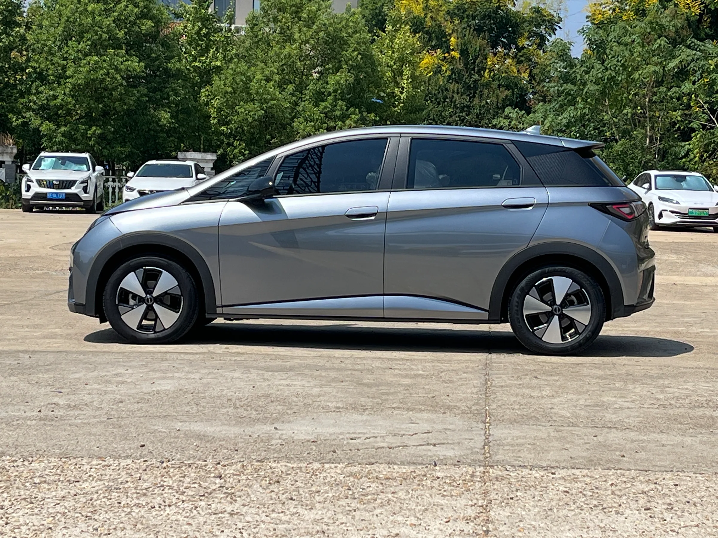 BYD Dolphin 2023-2024 5