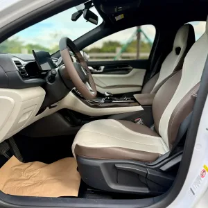 BYD Qin Plus DM-i 2023 10