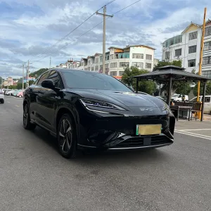 BYD Sealion 07 2024 3