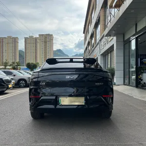 BYD Sealion 07 2024 5