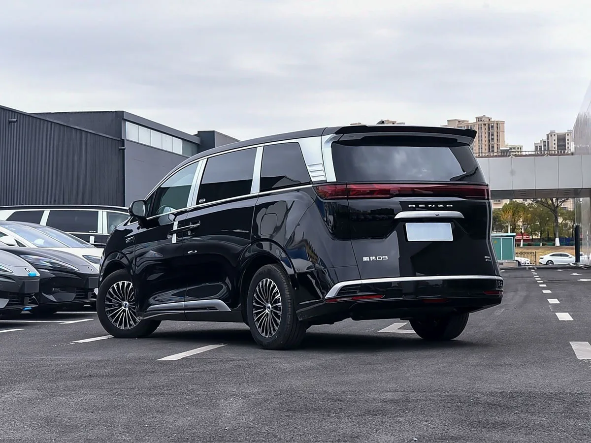 Denza D9 5