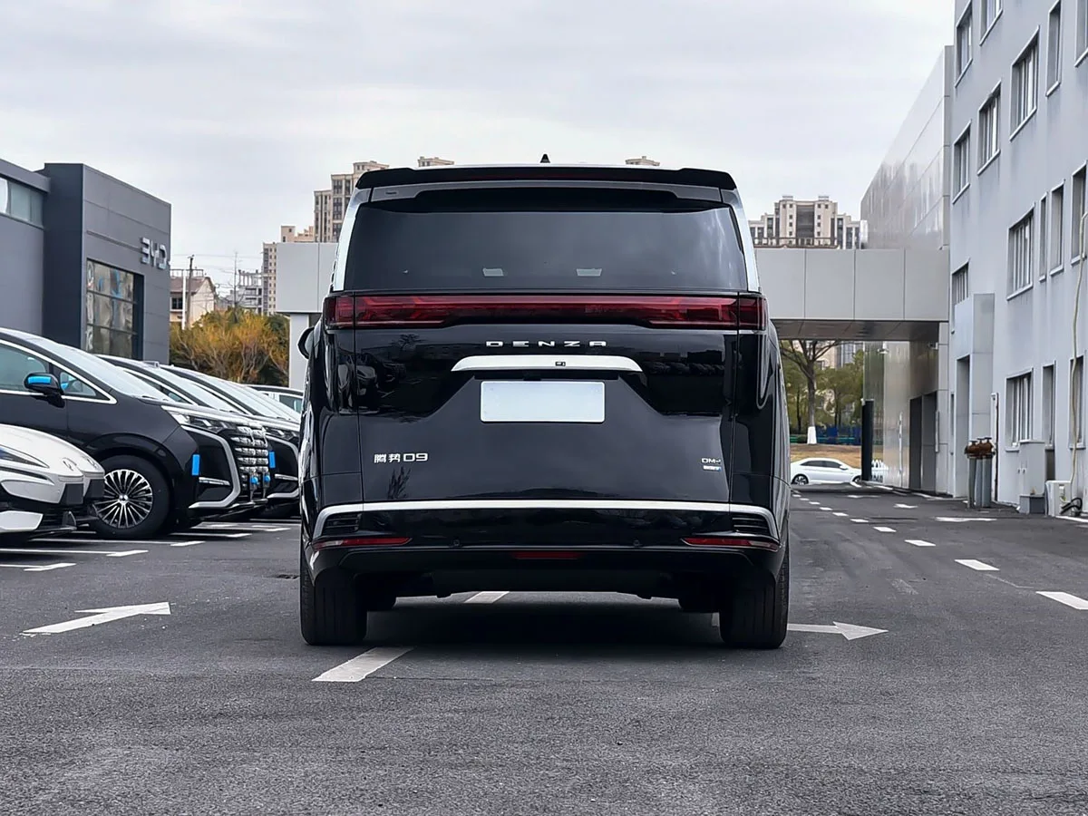 Denza D9 6