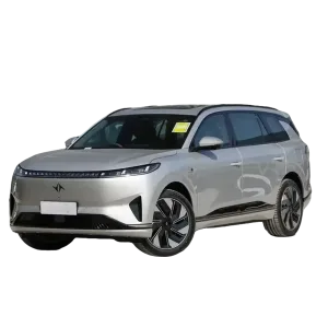 Dongfeng-eπ008 EV-1