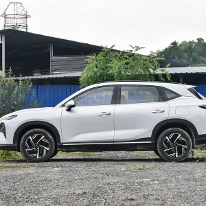 Wuling Starlight S 4