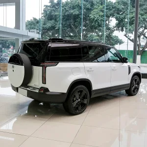 Polestones ROX 01 white_5