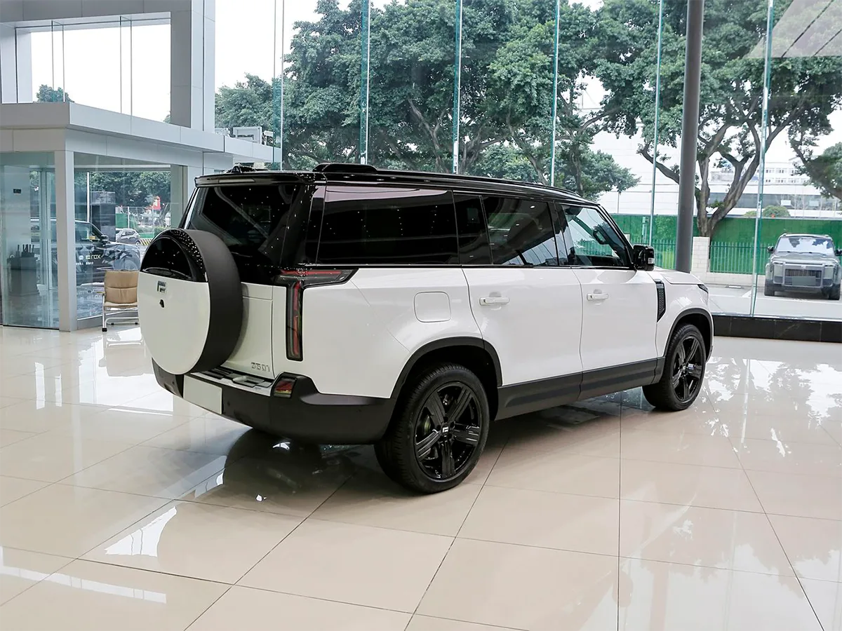 Polestones ROX 01 white_5