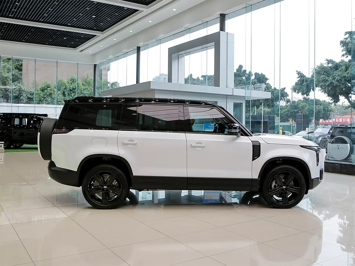 Polestones ROX 01 white_6