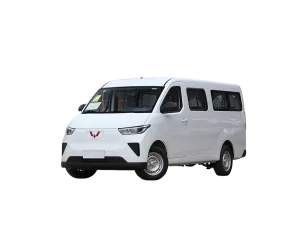 Wuling yangguang-1