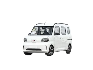 Wuling zhiguangu EV-1