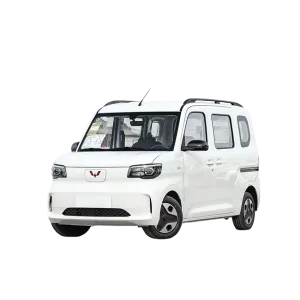 Wuling zhiguangu EV-1