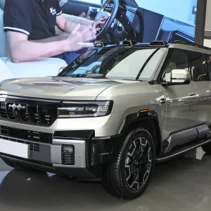 Leopard 8 Dawn gold_1 Leopard 8 Dawn gold_1