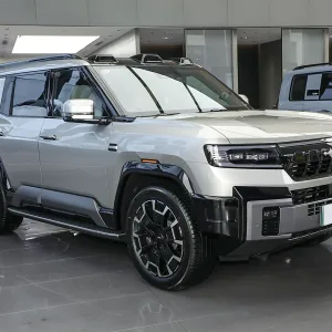 Leopard 8 Dawn gold_2