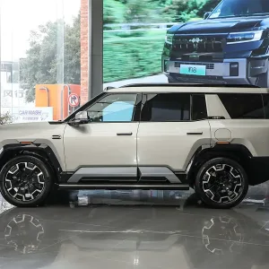 Leopard 8 Dawn gold_3