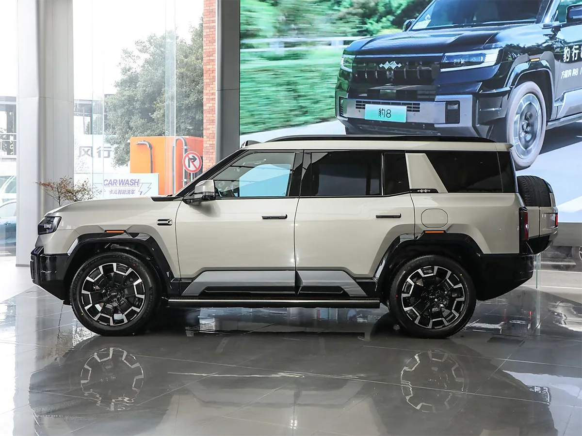 Leopard 8 Dawn gold_3