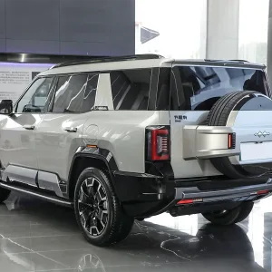 Leopard 8 Dawn gold_4