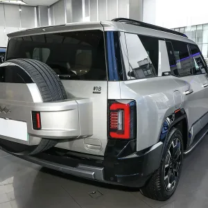 Leopard 8 Dawn gold_6