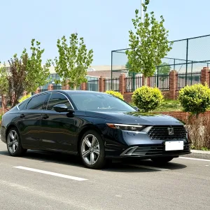 ACCORD 2023~2024