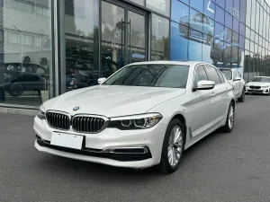 BMW 525Li 2019-2020 1