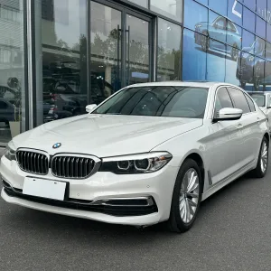 BMW 525Li 2019-2020 1