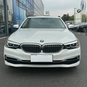 BMW 525Li 2019-2020 2