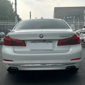 BMW 525Li 2019-2020 5