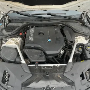 BMW 525Li 2019-2020 7