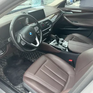 BMW 525Li 2019-2020 9