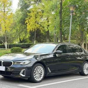 BMW 525Li 2021-2023 1