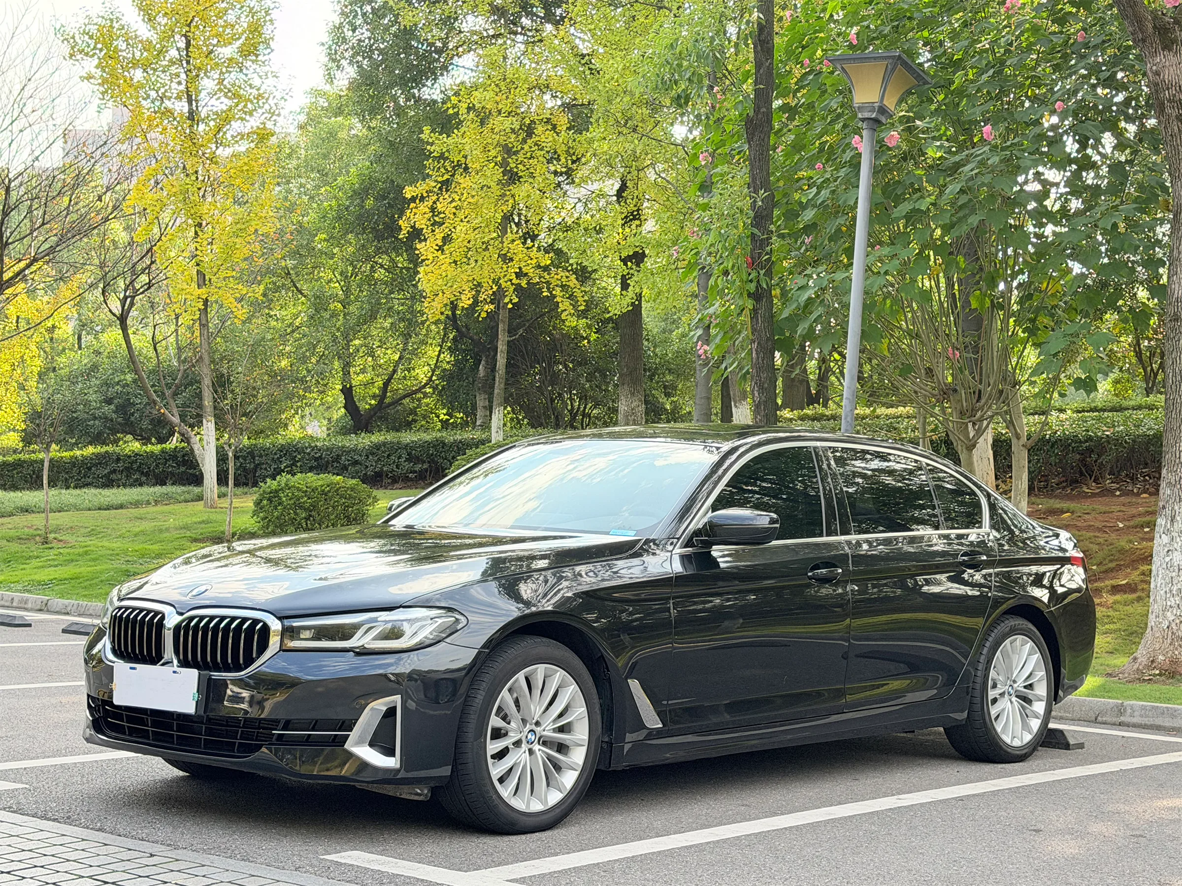 BMW 525Li 2021-2023 1