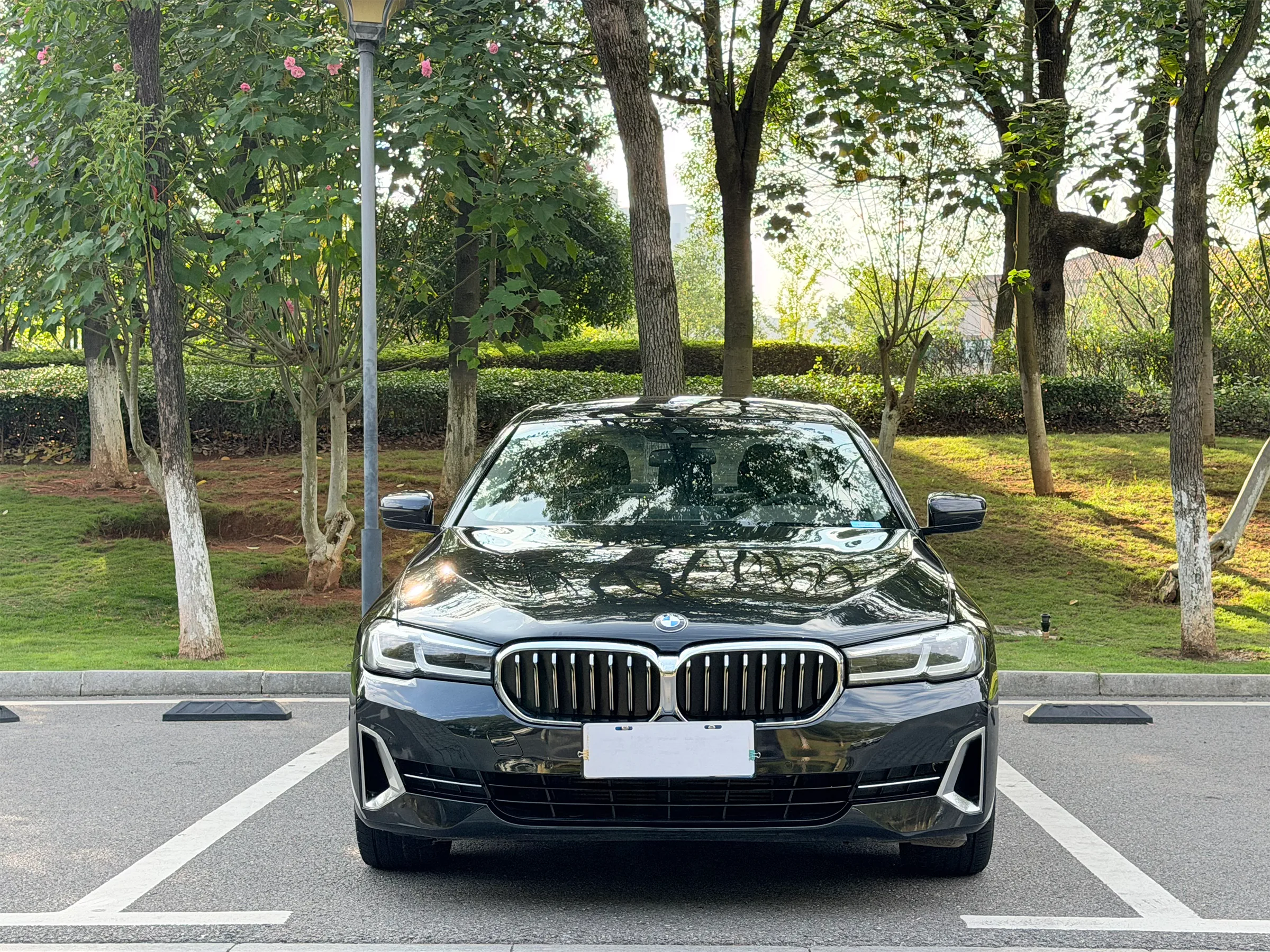 BMW 525Li 2021-2023 2