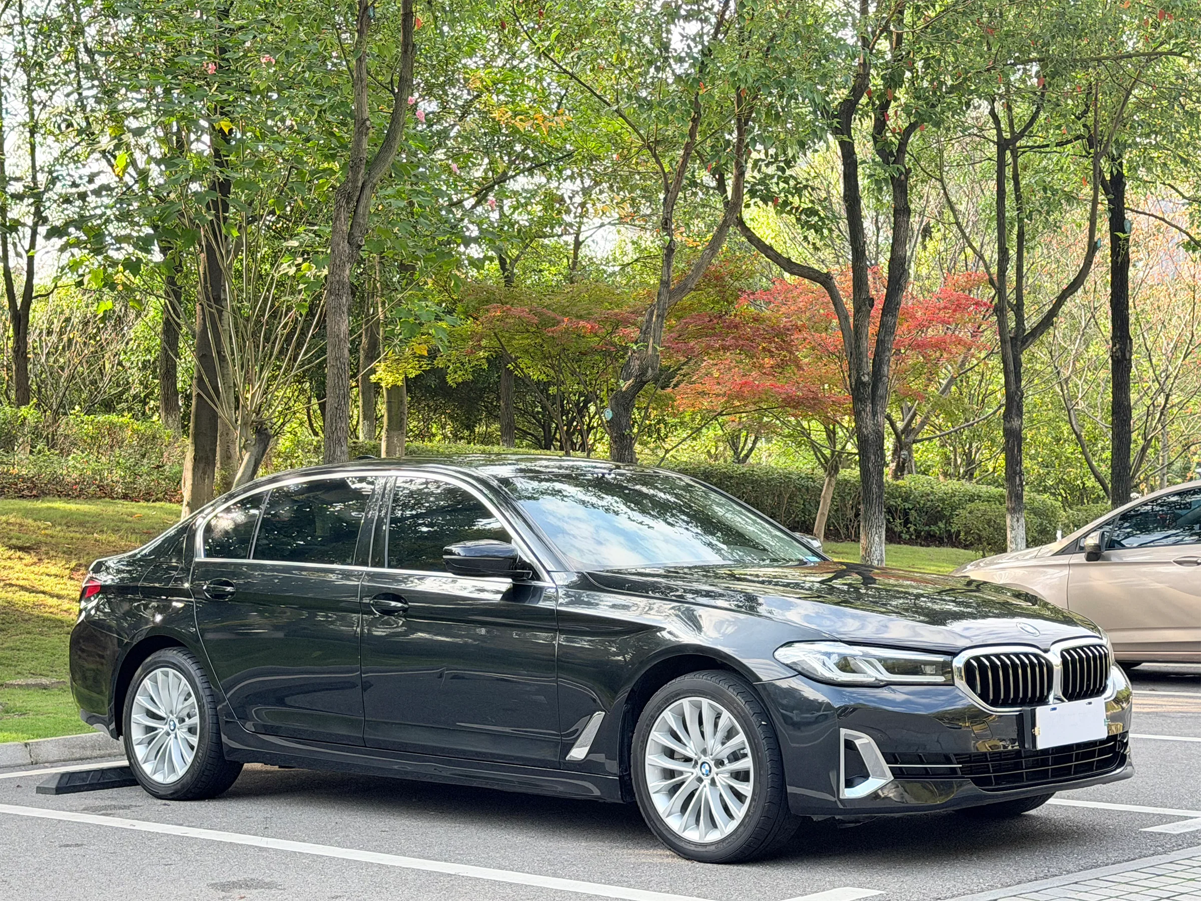 BMW 525Li 2021-2023 3