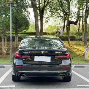BMW 525Li 2021-2023 6