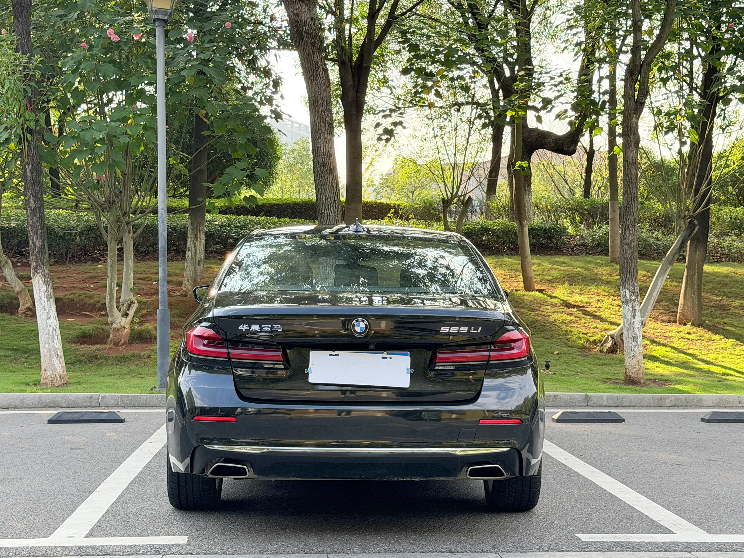 BMW 525Li 2021-2023 6