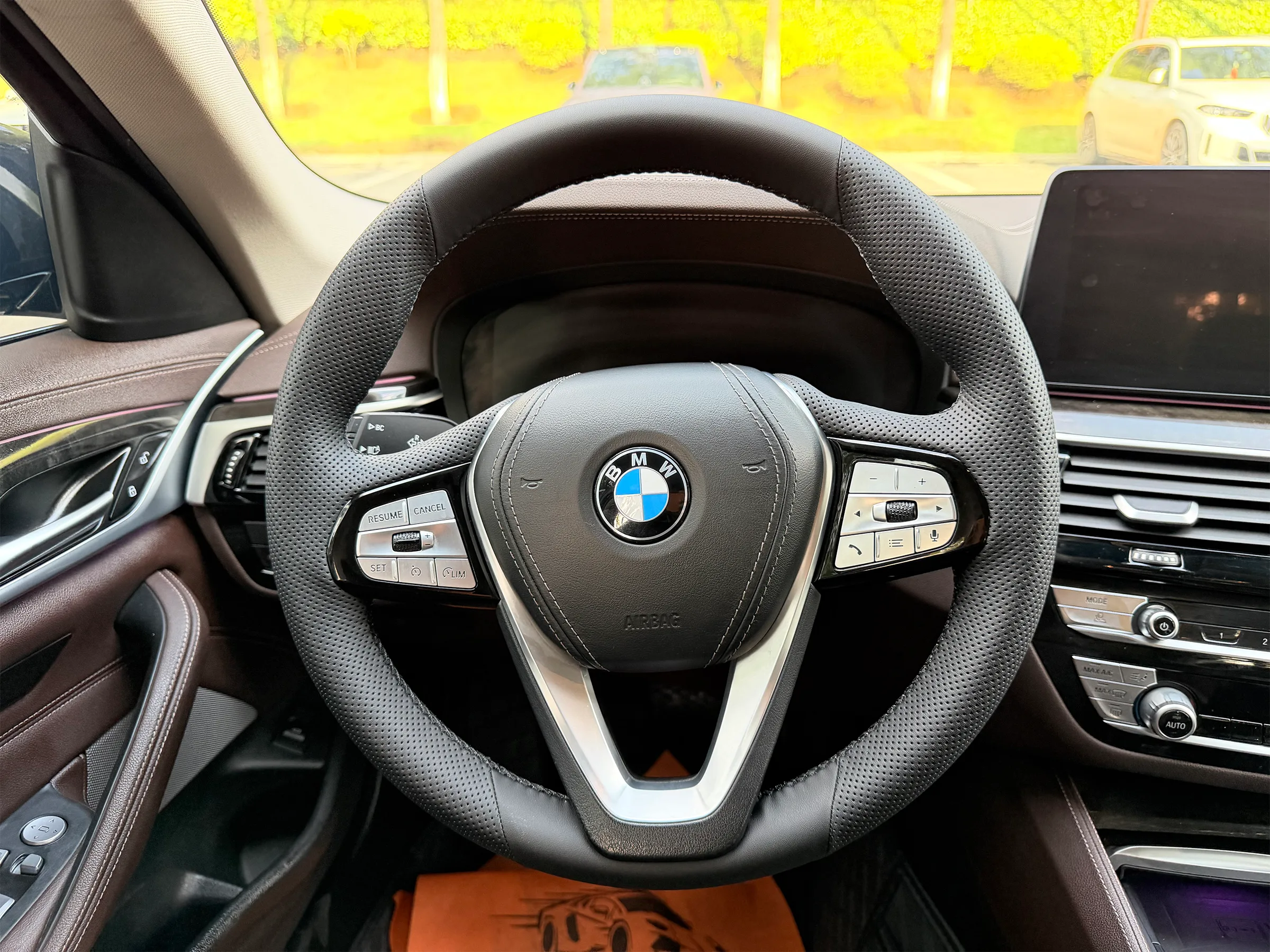 BMW 525Li 2021-2023 9