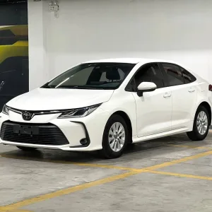 Corolla 2019~2022
