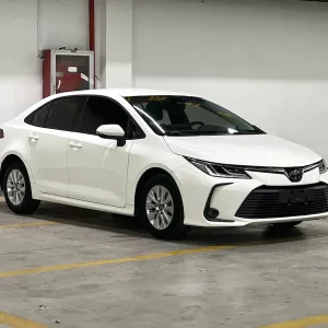 Corolla 2019~2022