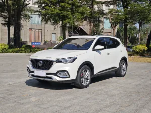 MG HS 2018~2020 20T_30T 1