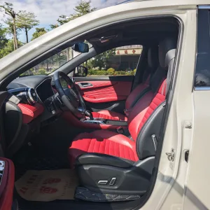 MG HS 2018~2020 20T_30T 9