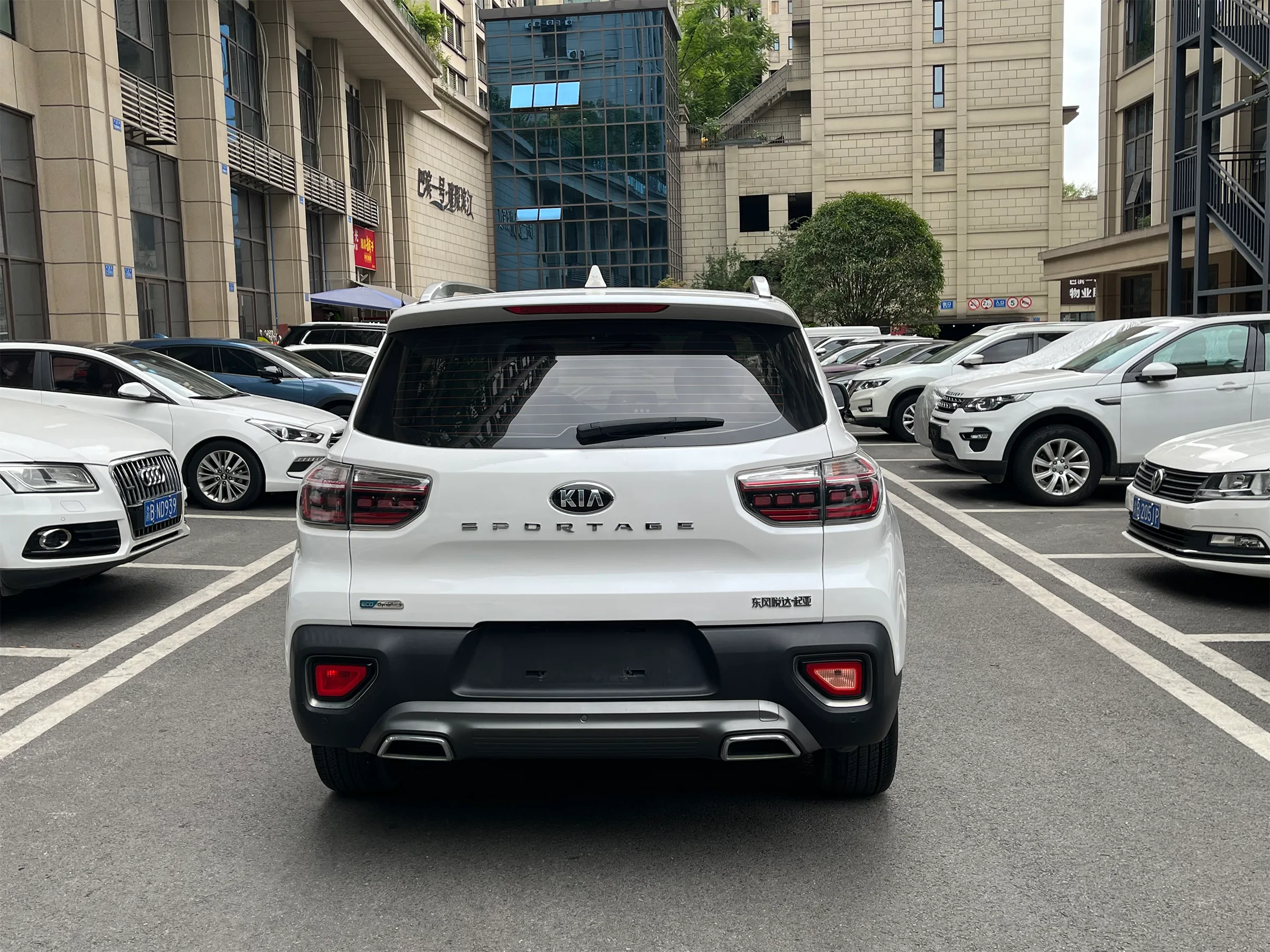 SPORTAGE 2018~2019 7