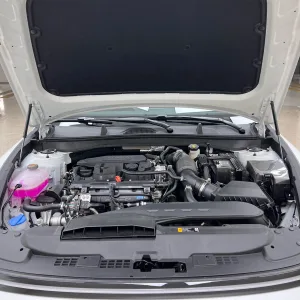 Sonata 2024 1.5T pro 7