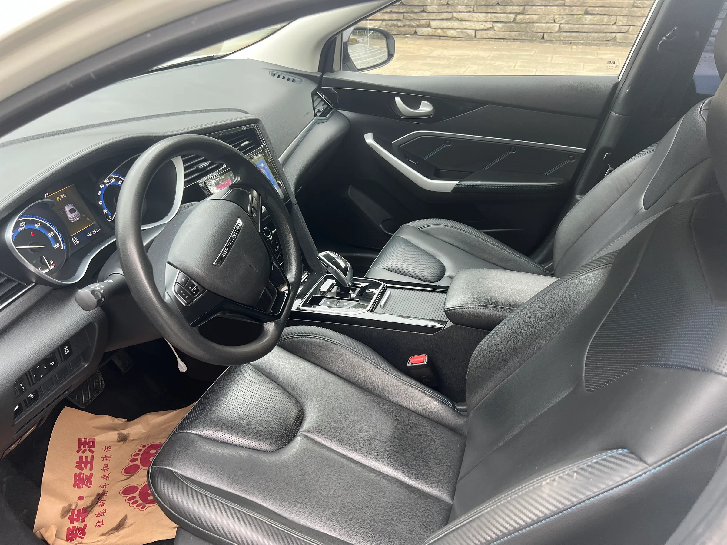 Venucia D60 EV 2022 11