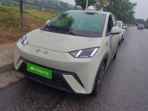 BYD Seagull 2025 405km Flying Edition