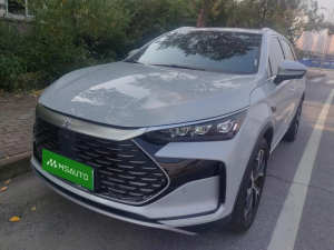 BYD Tang 2025 DM-i115KM Premium Edition